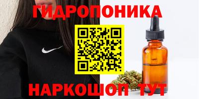 молекула духа Бузулук