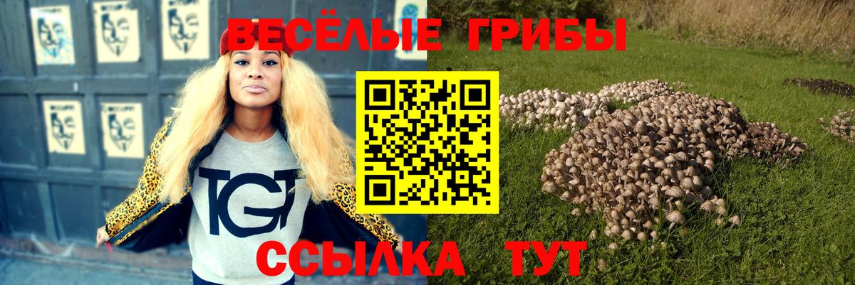 Саров  Псилоцибиновые грибы ЛСД  Вход с VPN 