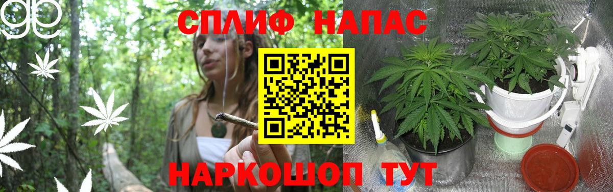 Гашиш  Мефедрон  Вход с VPN  МАРИХУАНА  COCAIN  МЕФ   Саров  Как найти закладки? 